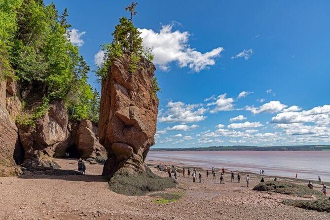 Saint John (NB) Bay of Fundy and Hopewell Rocks Private Tour - Key Points