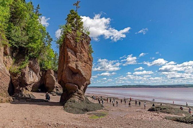 Saint John (NB) Bay of Fundy and Hopewell Rocks Private Tour - What Travelers Say: Authentic Perspectives