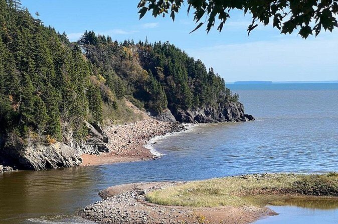 Saint John (NB) Bay of Fundy and Hopewell Rocks Private Tour - Who This Tour Is Best For