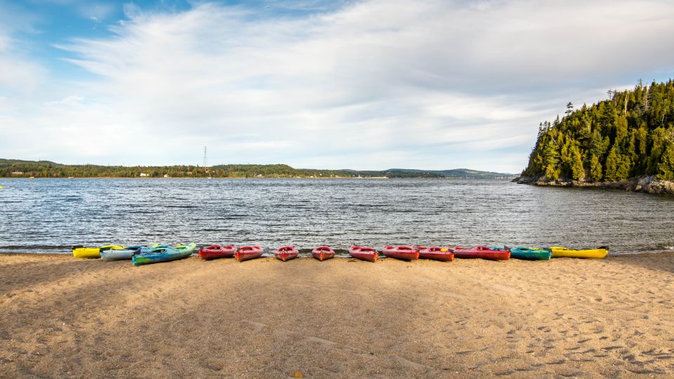 Saint John River: River Relics Kayak Tour - Getting to the Tour
