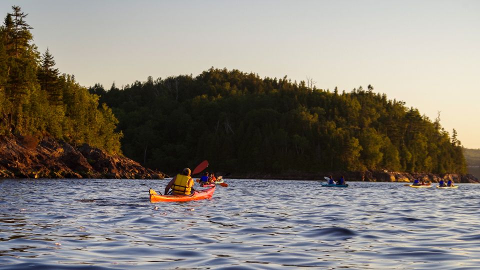 Saint John River: River Relics Kayak Tour - Frequently Asked Questions