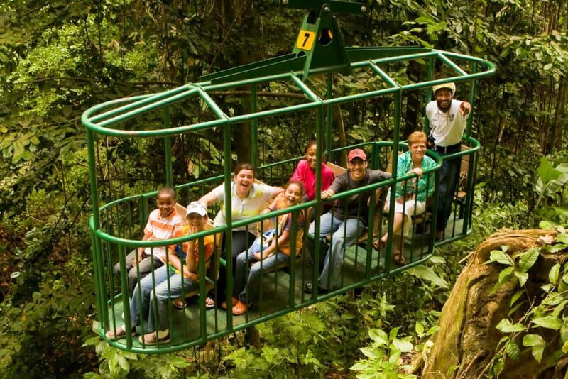 Saint Lucia: Aerial Tram Tour at Rainforest Adventures - An In-Depth Look at the Experience
