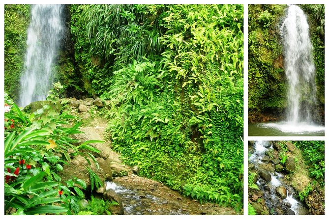 Saint Lucia: Paradise Island - Traveler Reviews and Feedback