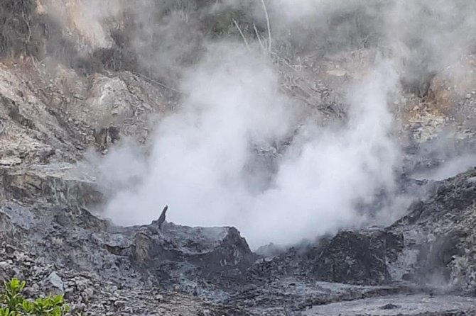 Saint Lucia Sulphur Springs Rejuvenating Mud Bath Tour - Tour Overview
