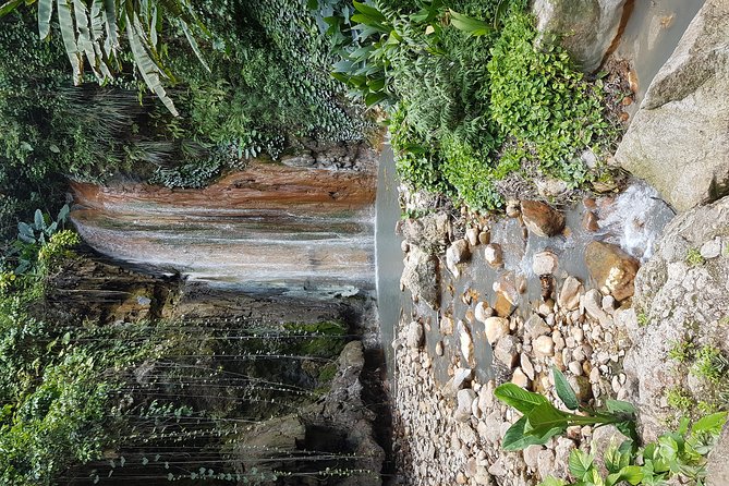 Saint Lucia Sulphur Springs Rejuvenating Mud Bath Tour - Accessibility and Age Restrictions