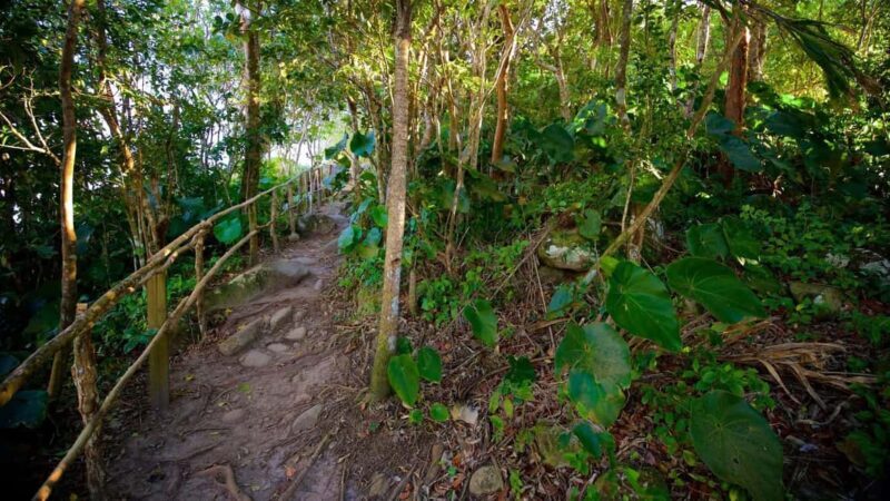Saint Lucia: Tete Paul Nature Trail Hike & Waterfall Visit - Key Points