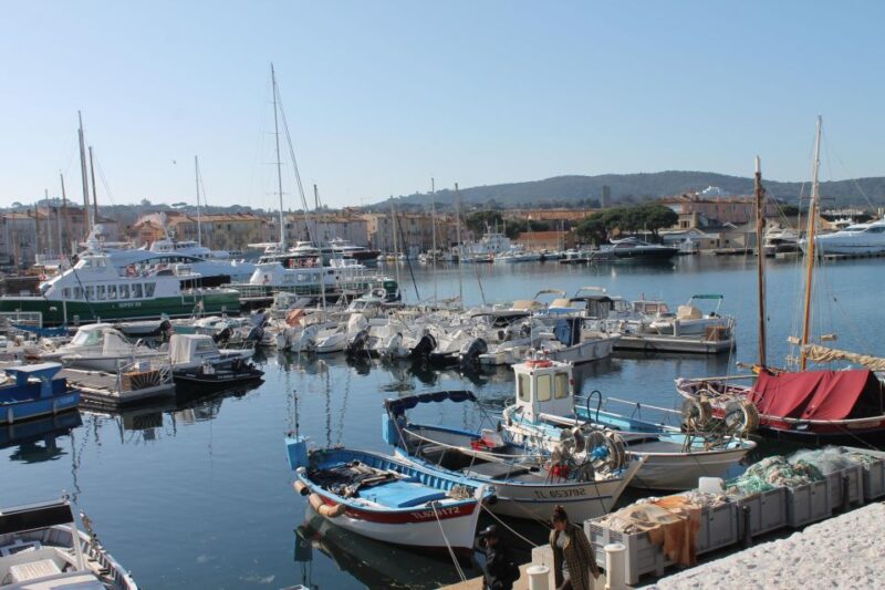Saint Tropez : Highlights Tour Shore Excursion - Cultural Insights