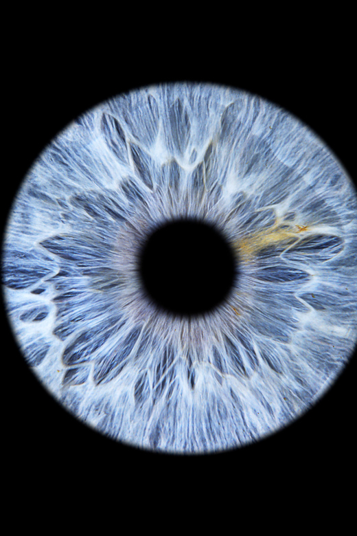 Saint-Tropez: Make Your Eyes a Unique Work of Art - Key Points