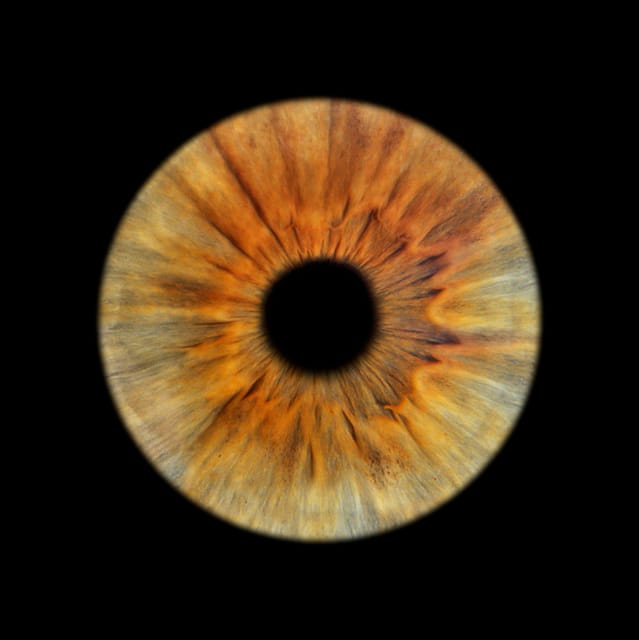 Saint-Tropez: Make Your Eyes a Unique Work of Art - Frequently Asked Questions