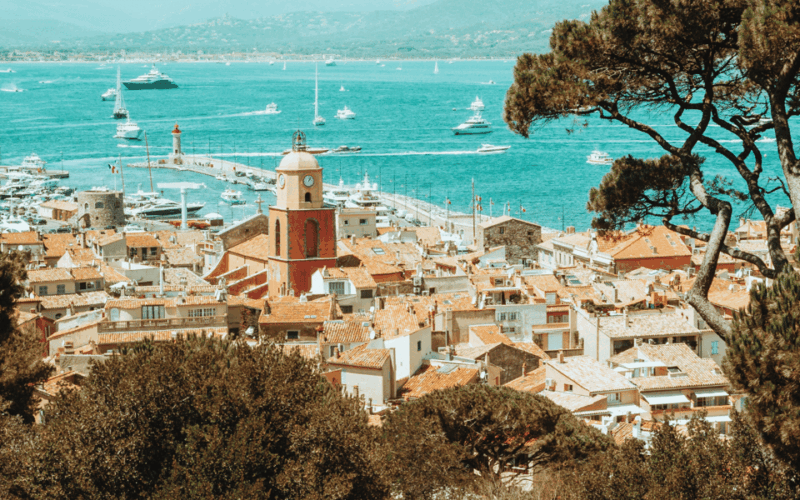 Saint-Tropez: Small Group Wine Tour - Wine Production in the Region