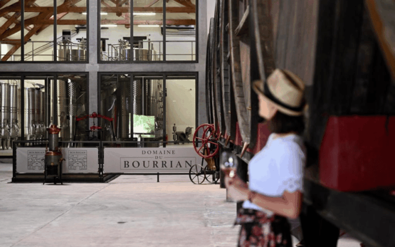 Saint-Tropez: Small Group Wine Tour - Wine Tasting Experiences