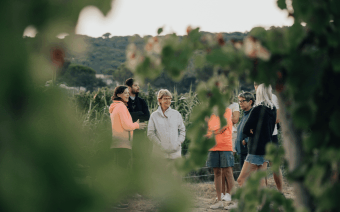 Saint-Tropez: Small Group Wine Tour - Highlights of the Tour