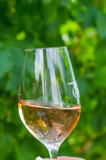 Saint-Tropez: Small Group Wine Tour - Frequently Asked Questions