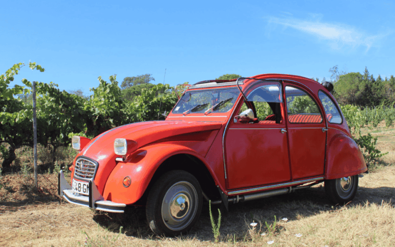 Saint-Tropez: Vintage Car Wine Tour - Key Points