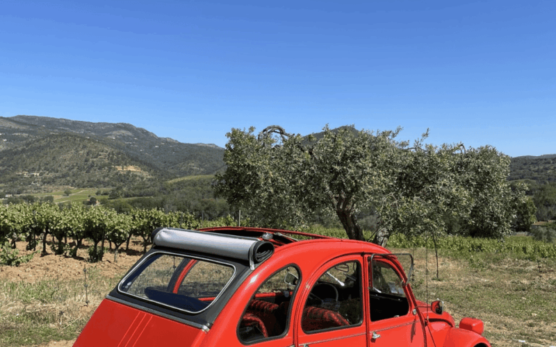 Saint-Tropez: Vintage Car Wine Tour - Inclusions and Exclusions