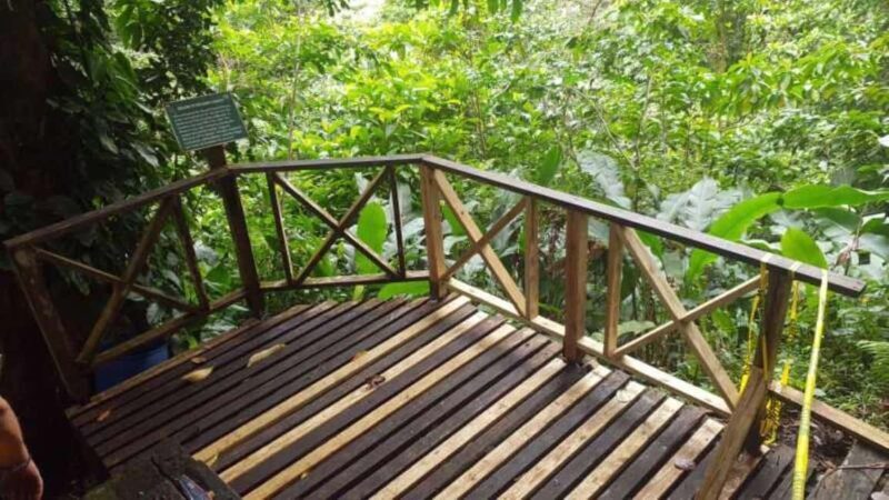 Saint Vincent: Caribbean Odyssey Tour - Key Points