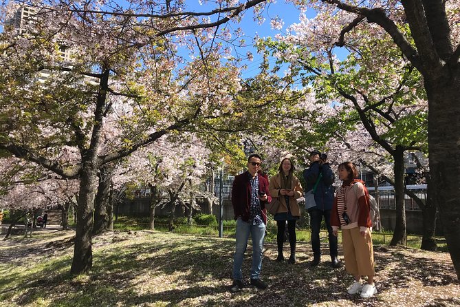 Sakura Picnic Hanami in Osaka - Spring Only - Inclusions