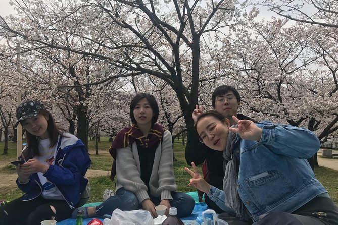 Sakura Picnic Hanami in Osaka - Spring Only - Accessibility and Participation