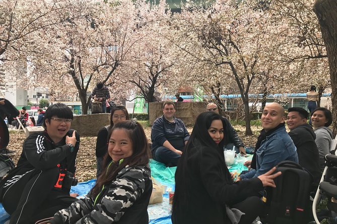 Sakura Picnic Hanami in Osaka - Spring Only - Frequently Asked Questions