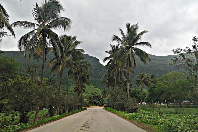 Salalah Mountain Safari Tour 2(Full Day Tour) - Accessibility Features