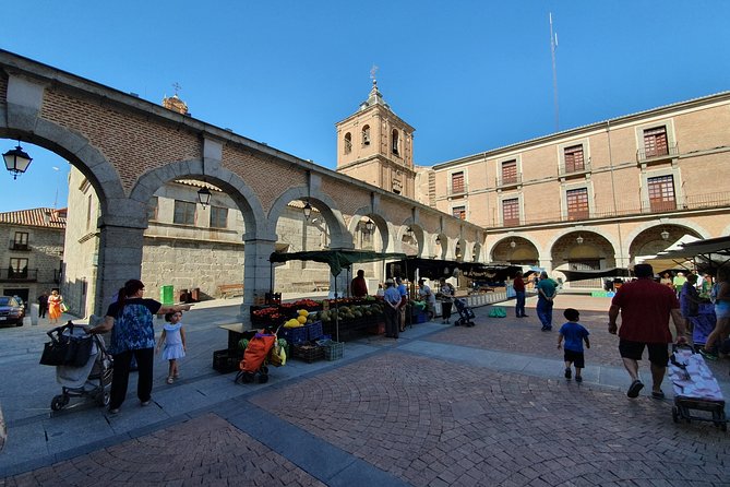 Salamanca and Avila Private Tour From Madrid With Hotel Pickup - Logistics