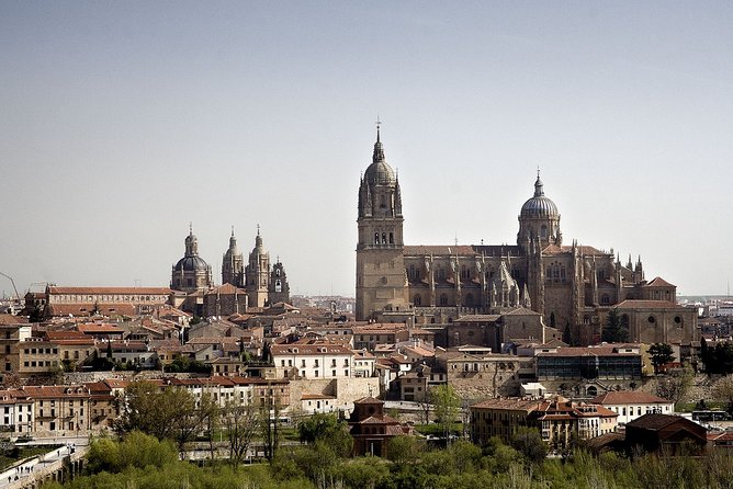 Salamanca and Avila Private Tour From Madrid With Hotel Pickup - Highlights of the Tour