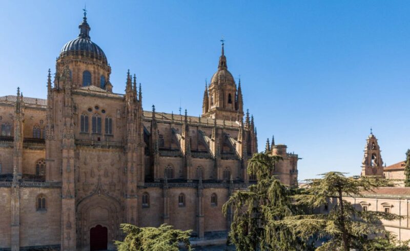 Salamanca: Cathedral of Salamanca Ticket With Audio Guide - Cathedral Experience
