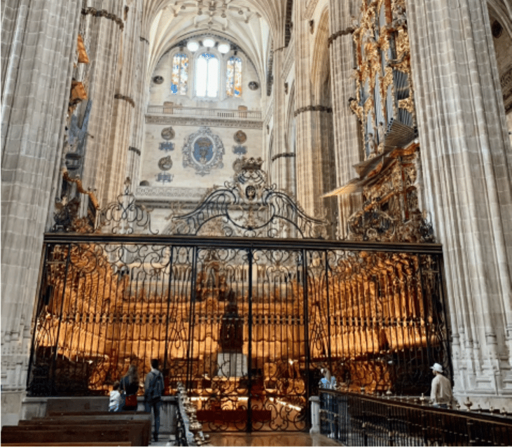 Salamanca Great Private Tour - Highlights