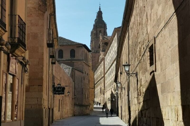 Salamanca: Guided Sightseeing Tour by Bicycle - Inclusions and Requirements