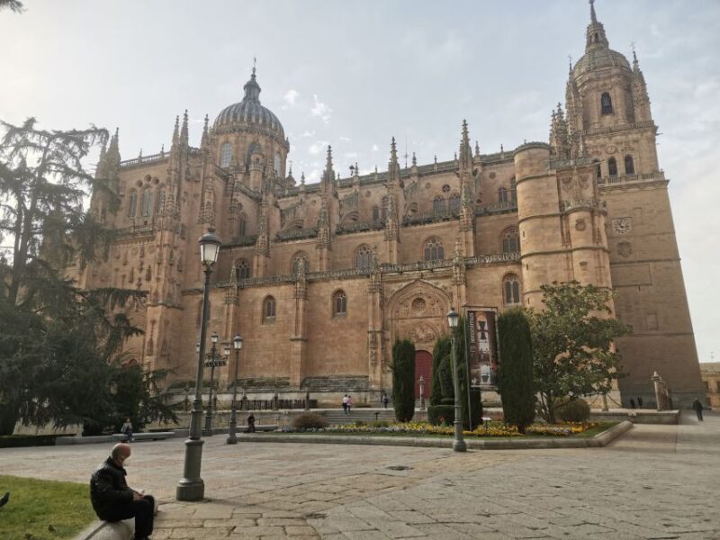 Salamanca: Monuments and Landmarks Guided Walking Tour - Historic University