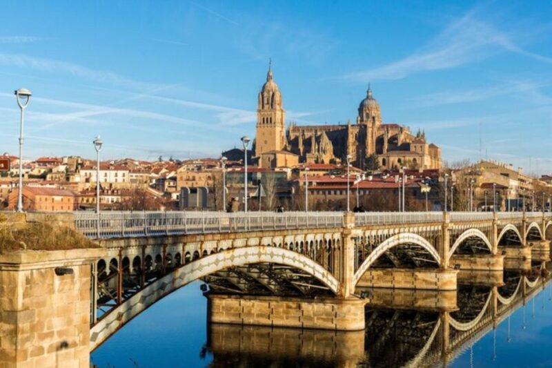 Salamanca: Private Walking Tour With a Local Guide - Languages and Reviews
