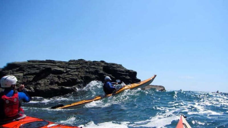 Salcombe: Estuary Explorer Sea Kayak Tour - An In-Depth Look at the Salcombe Estuary Explorer Sea Kayak Tour