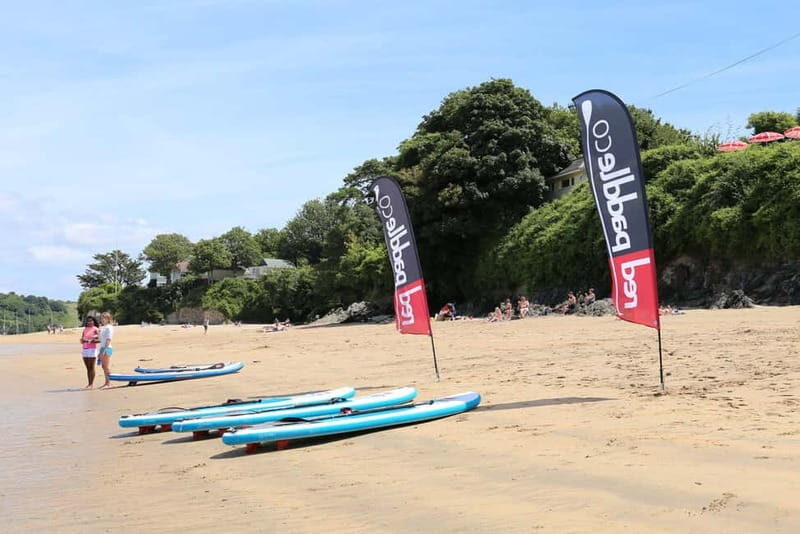 Salcombe: Group Stand Up Paddleboarding Tour - Key Points