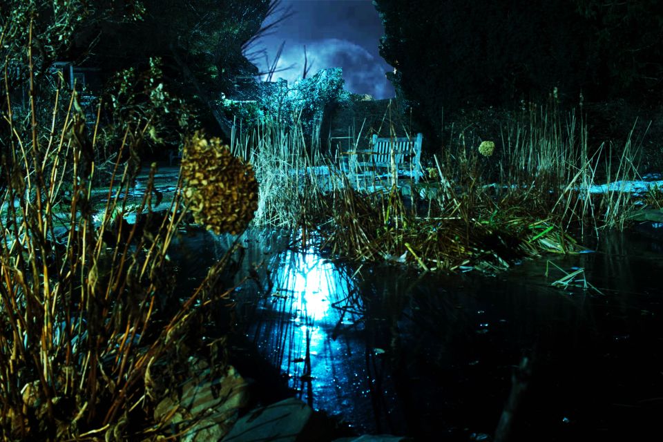 Salem: Ghosts, Witches, & Warlocks Guided Walking Tour - Tour Inclusions and Restrictions