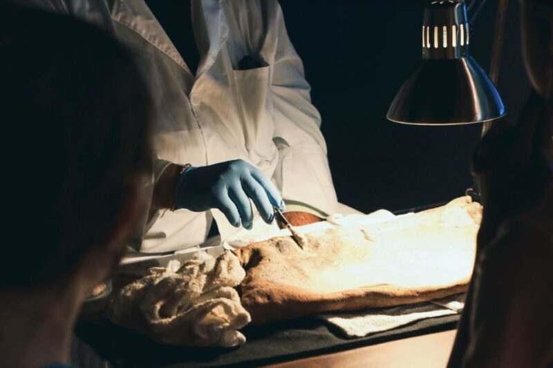 Salem: Pirate Museum with Authentic Treasures Entry Ticket - An In-Depth Look at the Salem Pirate Museum Experience