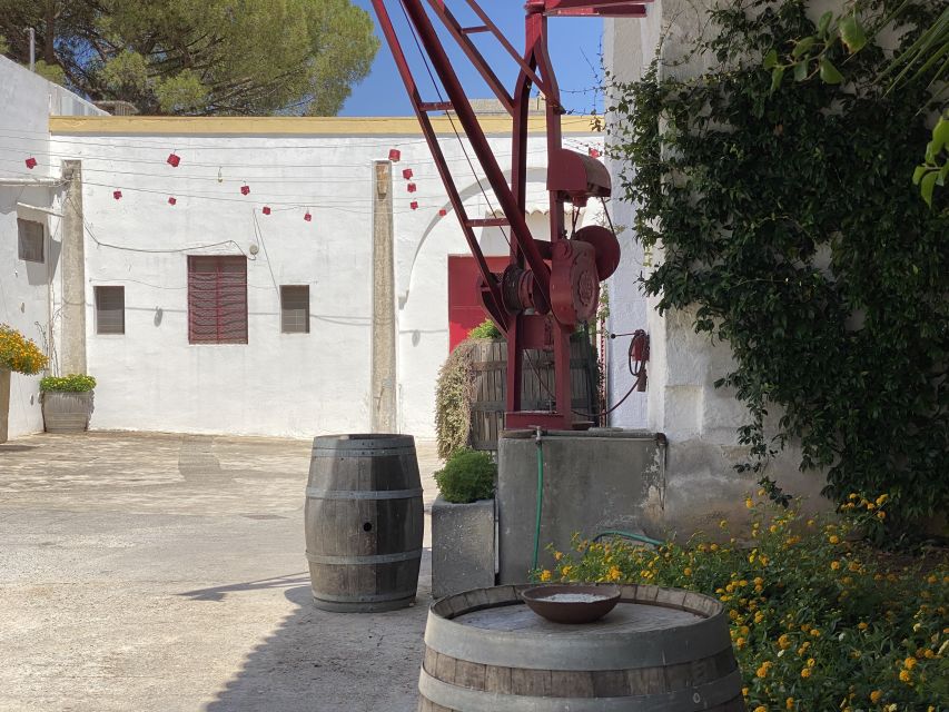 Salento: Winery Tour and Tasting - Customer Reviews and Feedback