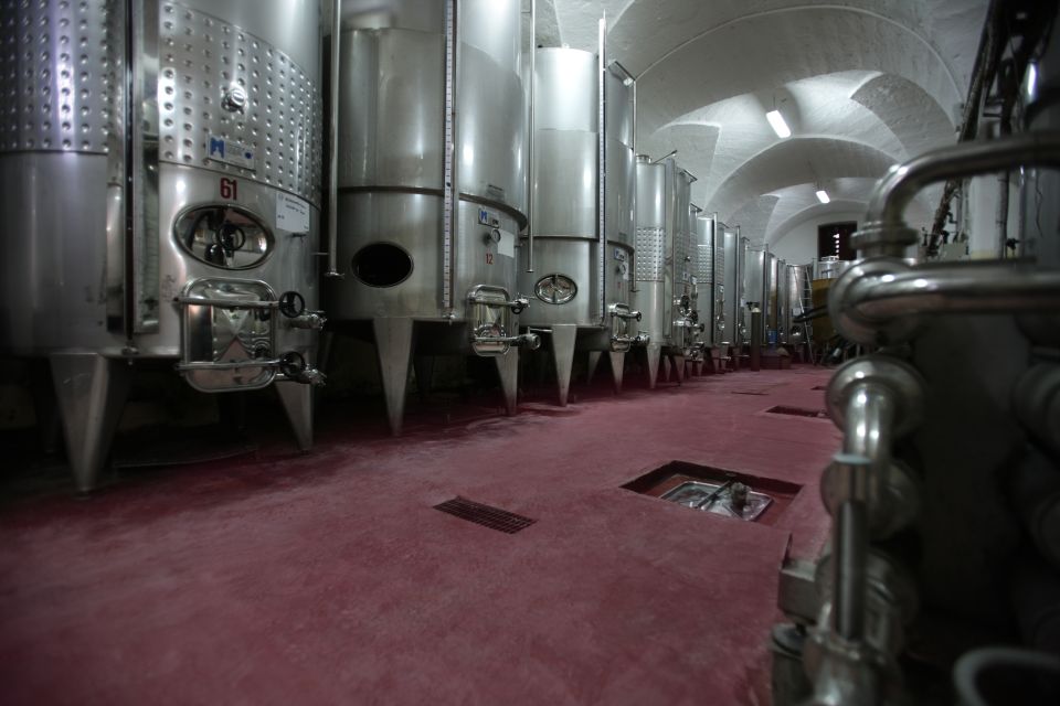 Salento: Winery Tour and Tasting - Recap