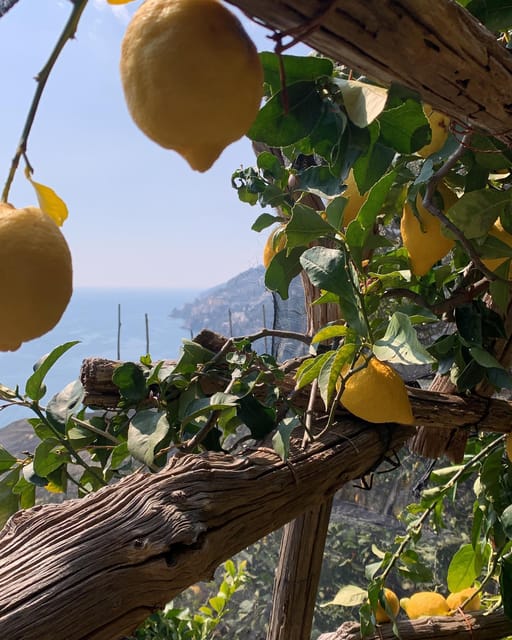 SALERNO: Easy Hiking Path of Lemons • Maiori and Minori - Key Points