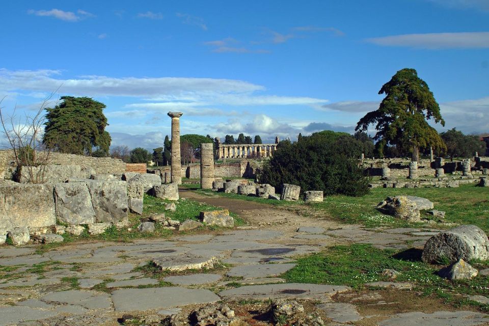 SALERNO: Guided Visit at Paestum Ruins and Museum - Highlights of the Tour