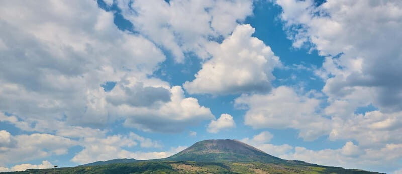 Salerno: Mount Vesuvius and Pompeii Day Trip with Transfers - An Overview of the Experience