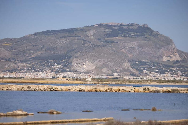 Salina Maria Stella di Trapani: Birdwatching in search of flamingos - Authentic, Relaxing, and Educational