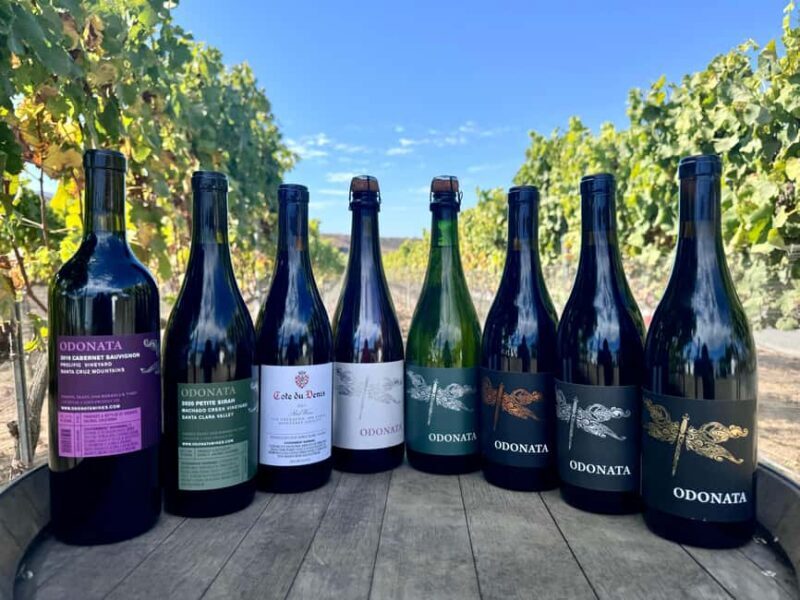 Salinas Valley, CA: Wine tasting experience - An In-Depth Look at the Salinas Valley Wine Tasting at Odonata Wines