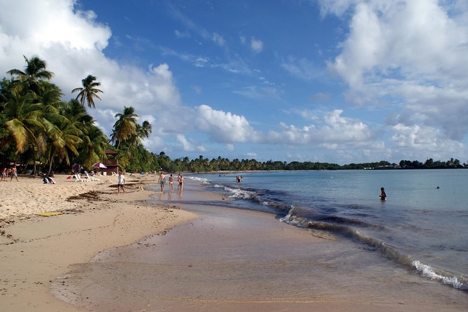 Salines Beach With a Rum-Distillery Stop - Key Points