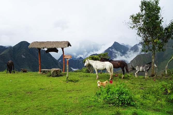 Salkantay Trek Premium 5D/4N - Physical Requirements