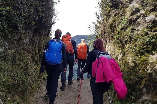 Salkantay Trek To Machupicchu By Car - Trekking to Aguas Calientes