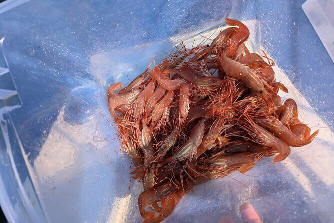 Salmon Fishing Charter in Vancouver - Frequently Asked Questions