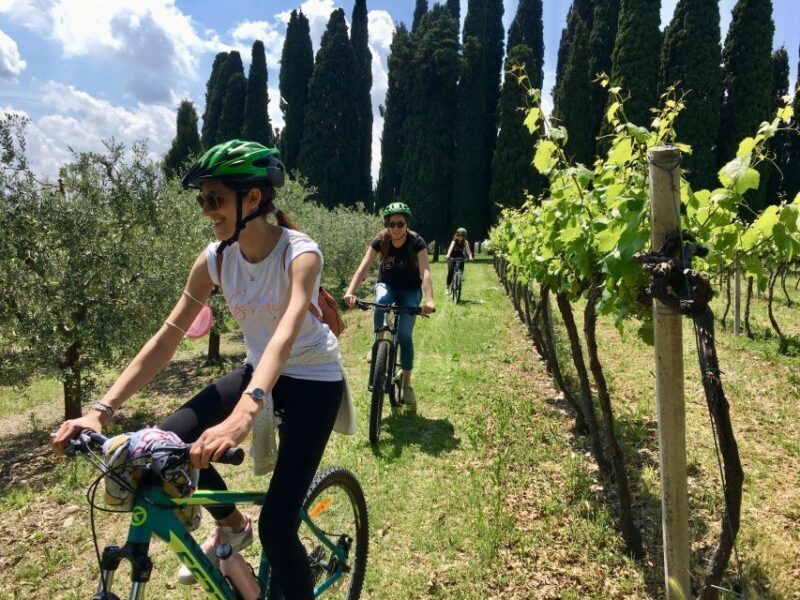 Salò: e-bike tour with wine tasting on Valtenesi Hills - The Itinerary in Detail