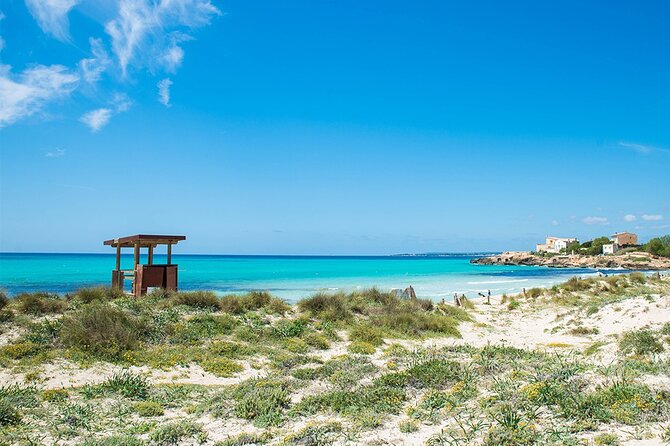 Salobrar Natural Park, Es Trenc Beach - Visitor Feedback and Experiences