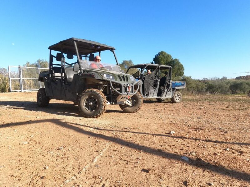 Salou: Kids Buggy Driving Experience in Safe Environment - Booking Information