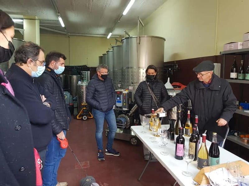 Salou: Priorat tasting Wine-Cellar Tour with hotel pickup - What the Tour Offers in Practical Terms